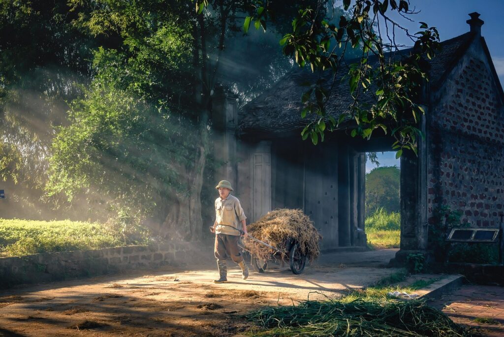 カップル旅行に最適な交通付きプランはどれですか？