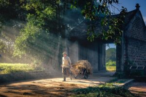 カップル旅行に最適な交通付きプランはどれですか？