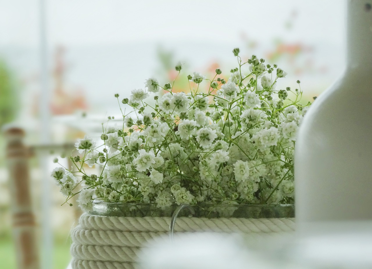 カップルのための記念日ホテルで使える早割プランは？