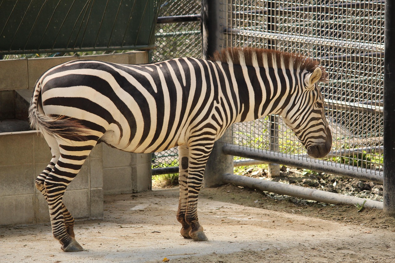 福岡でカップルが過ごす記念日を特別にする宿は？