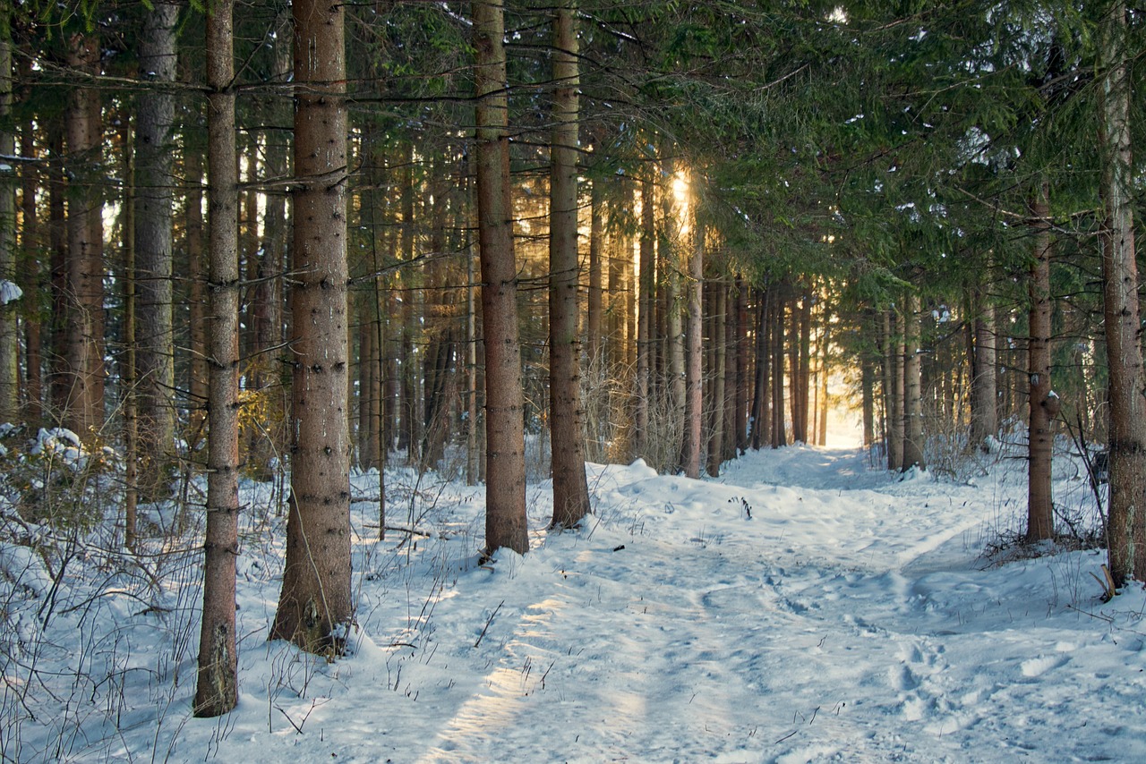 雪景色の中で楽しむカップルにおすすめの露天風呂は？