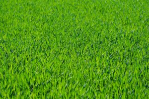 寝相が悪い子供のために親ができる対策はどうする？