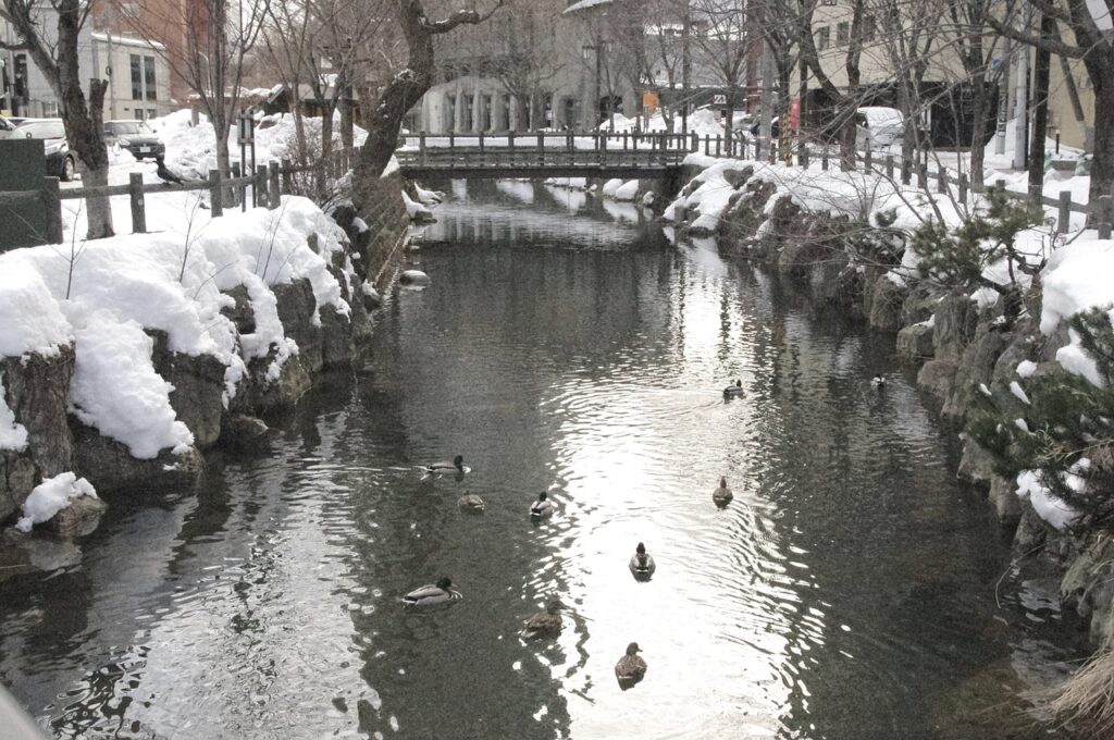 札幌でカップルにおすすめの冬旅行プランは？