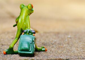 恋人との旅行で失敗しないための具体的な例は？